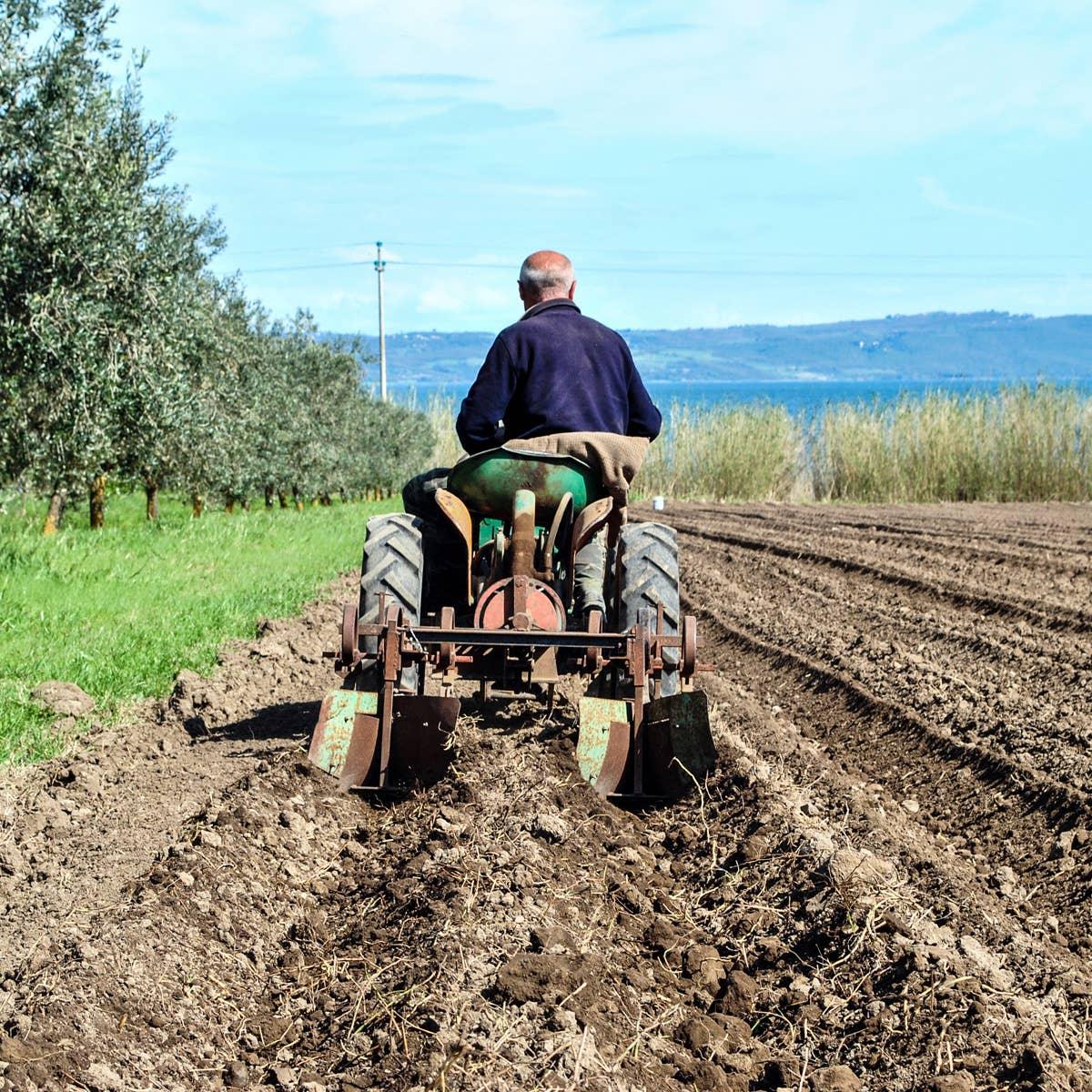 Zuppa Birichina 400g. - Drugstore Napoli