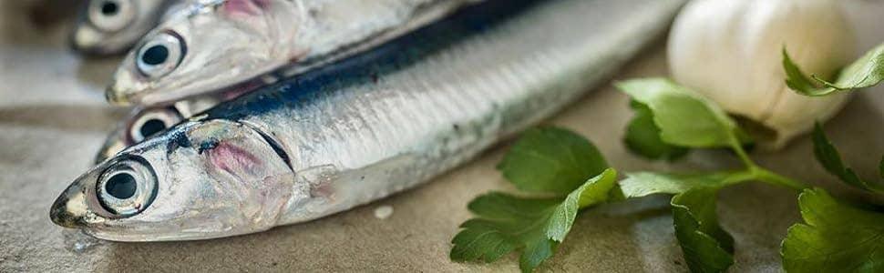 Colatura di Alici in astuccio - MR. MORIS SRL - 100ml - Drugstore Napoli