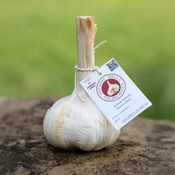Aglione della Valdichiana - 350g circa