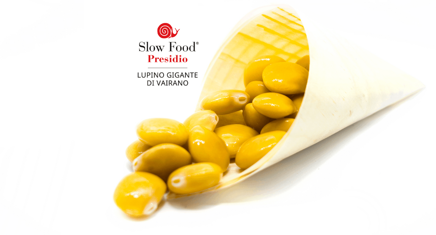 Lupino Gigante di Vairano - Verticelli - Presidio Slow Food - 580 gr - Drugstore Napoli