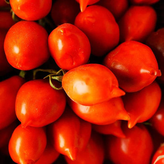 Passata di Pomodorino del Piennolo - 660g - Kuoko Mercante - Drugstore Napoli