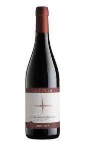 MEZZACORONA - Teroldego Riserva - 2009 - 750ml - Drugstore Napoli