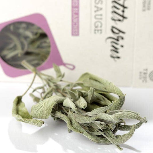 Rametti di Salvia Biologica