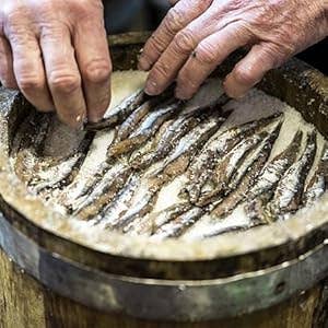 Colatura di Alici  in astuccio - MR. MORIS SRL - 100ml - Drugstore Napoli