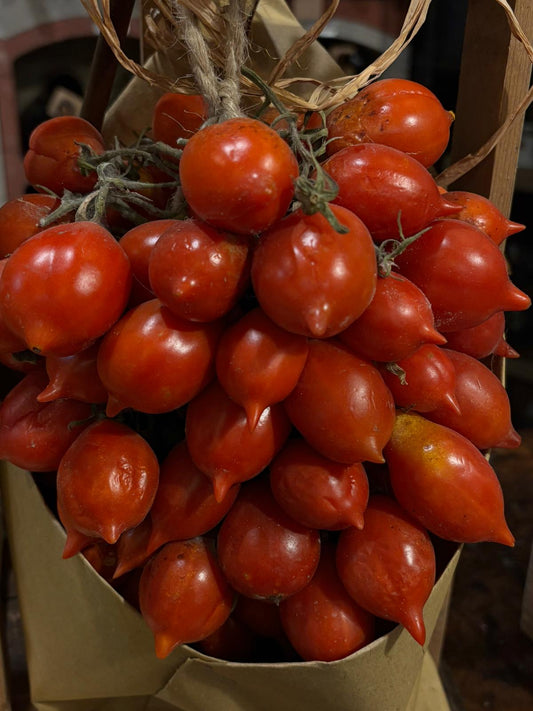 Pomodorini del Piennolo 1,5kg - Drugstore Napoli